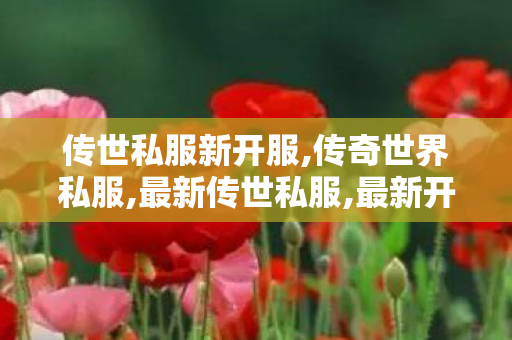 传世私服新开服,传奇世界私服,最新传世私服,最新开传奇世界私服,传奇世界私服,最新传世私服