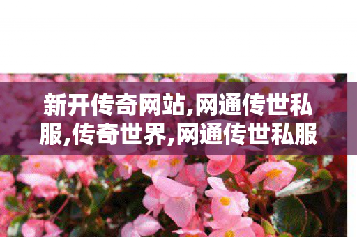 新开传奇网站,网通传世私服,传奇世界,网通传世私服