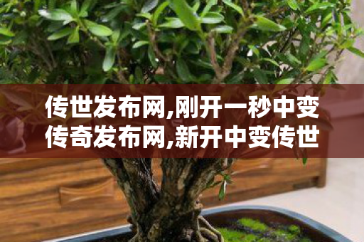 传世发布网,刚开一秒中变传奇发布网,新开中变传世网站,刚开一秒中变传奇发布网