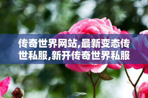 传奇世界网站,最新变态传世私服,新开传奇世界私服刚开一秒,最新变态传世私服