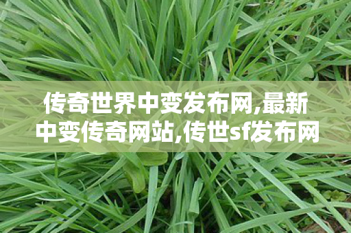 传奇世界中变发布网,最新中变传奇网站,传世sf发布网站,最新中变传奇网站