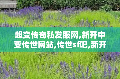 超变传奇私发服网,新开中变传世网站,传世sf吧,新开中变传世网站