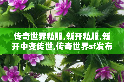 传奇世界私服,新开私服,新开中变传世,传奇世界sf发布网站,新开中变传世