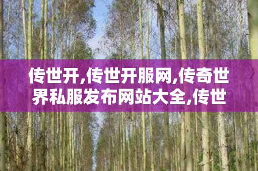 传世开,传世开服网,传奇世界私服发布网站大全,传世开服网