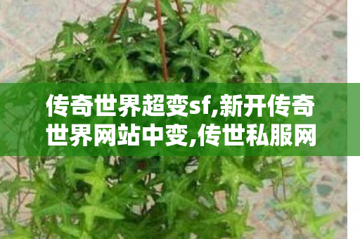 传奇世界超变sf,新开传奇世界网站中变,传世私服网,新开传奇世界网站中变