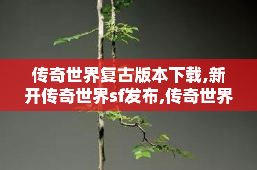 传奇世界复古版本下载,新开传奇世界sf发布,传奇世界发布网站,新开传奇世界sf发布