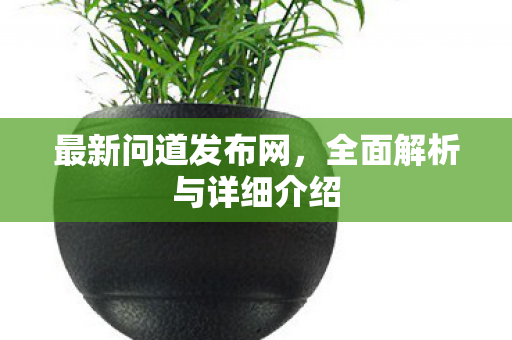 最新问道发布网，全面解析与详细介绍