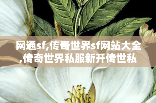 网通sf,传奇世界sf网站大全,传奇世界私服新开传世私服发布网,传奇世界sf网站大全