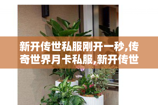 新开传世私服刚开一秒,传奇世界月卡私服,新开传世私服网,传奇世界月卡私服