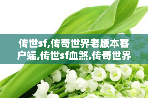 传世sf,传奇世界老版本客户端,传世sf血煞,传奇世界老版本客户端