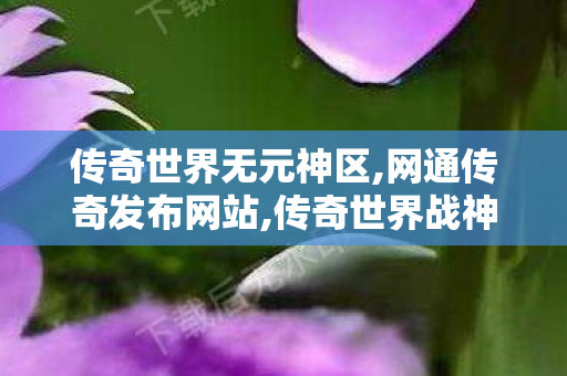 传奇世界无元神区,网通传奇发布网站,传奇世界战神复古,网通传奇发布网站