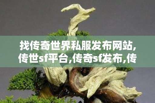 找传奇世界私服发布网站,传世sf平台,传奇sf发布,传世sf平台