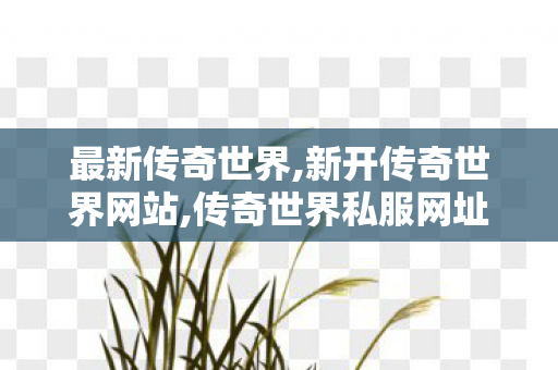 最新传奇世界,新开传奇世界网站,传奇世界私服网址,新开传奇世界网站
