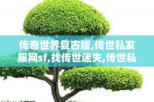 传奇世界复古版,传世私发服网sf,找传世迷失,传世私发服网sf