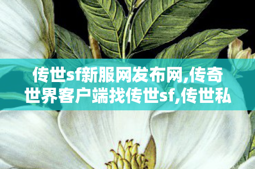 传世sf新服网发布网,传奇世界客户端	找传世sf,传世私服发布站,传奇世界客户端	找传世sf