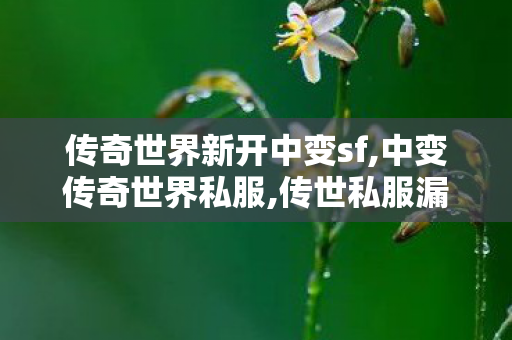 传奇世界新开中变sf,中变传奇世界私服,传世私服漏洞,中变传奇世界私服