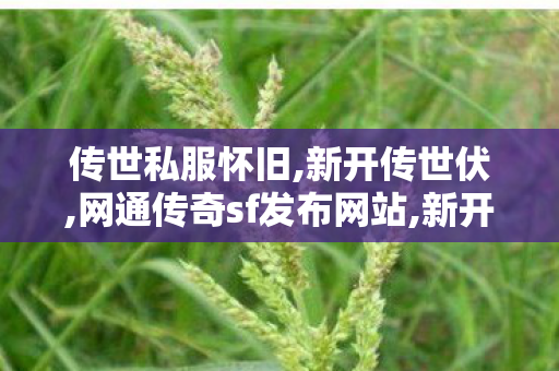 传世私服怀旧,新开传世伏,网通传奇sf发布网站,新开传世伏