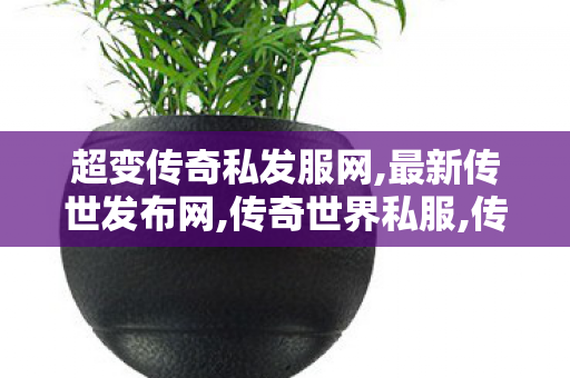 超变传奇私发服网,最新传世发布网,传奇世界私服,传世私服新开,最新传世发布网