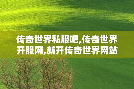 传奇世界私服吧,传奇世界开服网,新开传奇世界网站刚开一秒,传奇世界开服网
