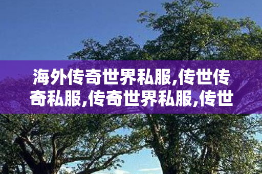 海外传奇世界私服,传世传奇私服,传奇世界私服,传世传奇私服