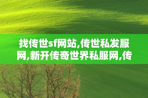 找传世sf网站,传世私发服网,新开传奇世界私服网,传世私发服网