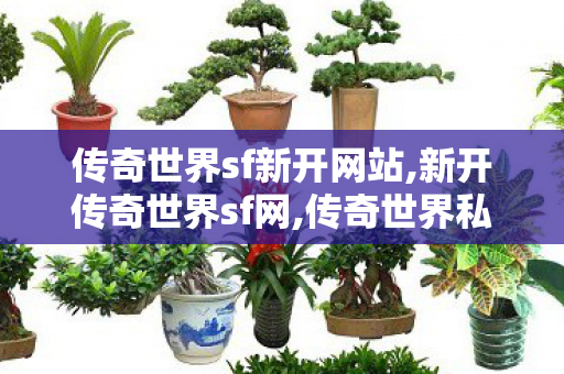 传奇世界sf新开网站,新开传奇世界sf网,传奇世界私服,新开私服,新开传奇世界sf网