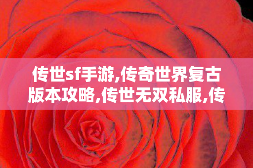 传世sf手游,传奇世界复古版本攻略,传世无双私服,传奇世界复古版本攻略