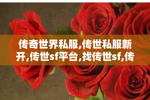 传奇世界私服,传世私服新开,传世sf平台,找传世sf,传世sf平台