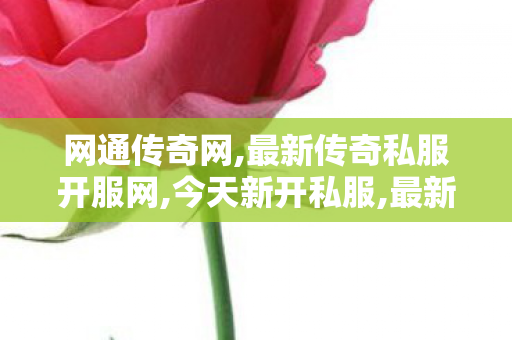 网通传奇网,最新传奇私服开服网,今天新开私服,最新传奇私服开服网