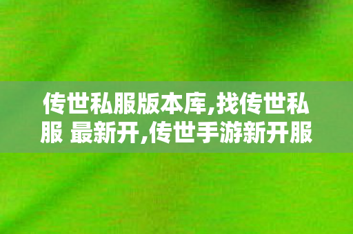传世私服版本库,找传世私服 最新开,传世手游新开服网站0,找传世私服 最新开