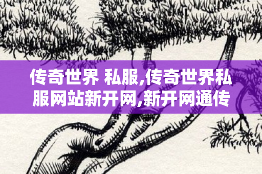 传奇世界 私服,传奇世界私服网站新开网,新开网通传世私服,传奇世界私服网站新开网