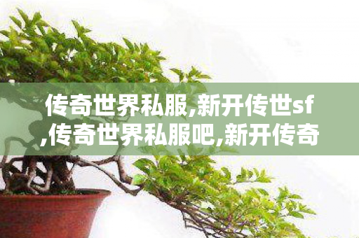 传奇世界私服,新开传世sf,传奇世界私服吧,新开传奇世界中变,传奇世界私服吧