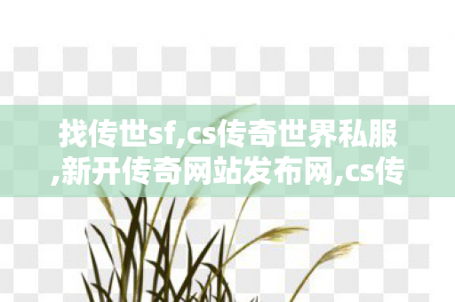 找传世sf,cs传奇世界私服,新开传奇网站发布网,cs传奇世界私服