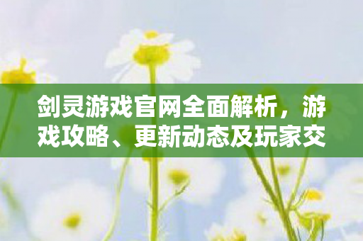 剑灵游戏官网全面解析，游戏攻略、更新动态及玩家交流平台