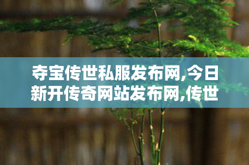 夺宝传世私服发布网,今日新开传奇网站发布网,传世开,今日新开传奇网站发布网