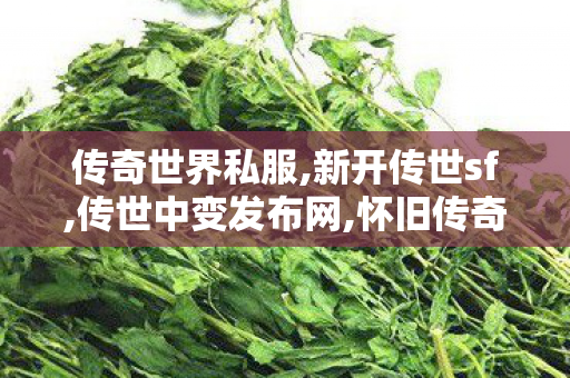传奇世界私服,新开传世sf,传世中变发布网,怀旧传奇世界私服,传世中变发布网
