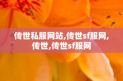 传世私服网站,传世sf服网,传世,传世sf服网