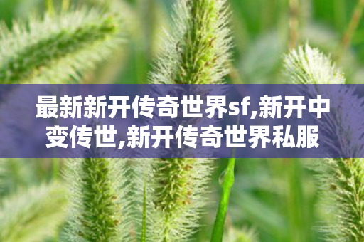 最新新开传奇世界sf,新开中变传世,新开传奇世界私服传世,新开中变传世