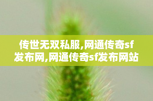 传世无双私服,网通传奇sf发布网,网通传奇sf发布网站,网通传奇sf发布网
