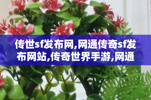 传世sf发布网,网通传奇sf发布网站,传奇世界手游,网通传奇sf发布网站