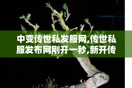 中变传世私发服网,传世私服发布网刚开一秒,新开传奇世界私服,传世私服发布网刚开一秒