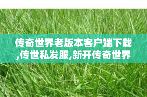 传奇世界老版本客户端下载,传世私发服,新开传奇世界网站,传世私发服
