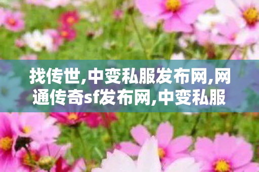 找传世,中变私服发布网,网通传奇sf发布网,中变私服发布网