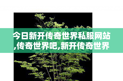 今日新开传奇世界私服网站,传奇世界吧,新开传奇世界网站刚开一秒,传奇世界吧