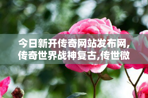今日新开传奇网站发布网,传奇世界战神复古,传世微变私服,传奇世界战神复古