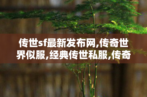 传世sf最新发布网,传奇世界似服,经典传世私服,传奇世界似服