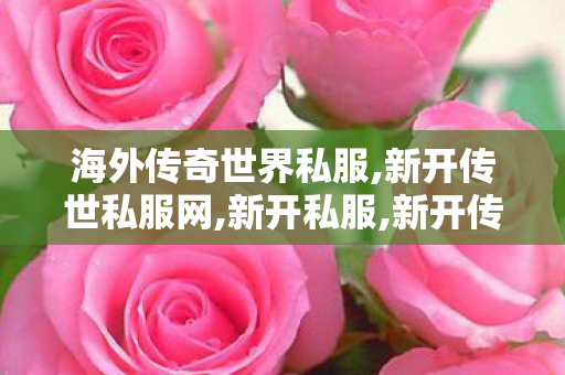 海外传奇世界私服,新开传世私服网,新开私服,新开传世私服网