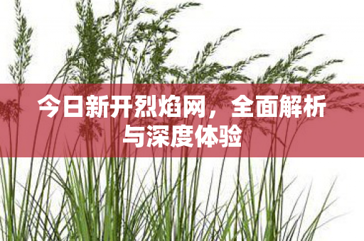 今日新开烈焰网，全面解析与深度体验