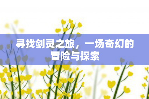 寻找剑灵之旅，一场奇幻的冒险与探索