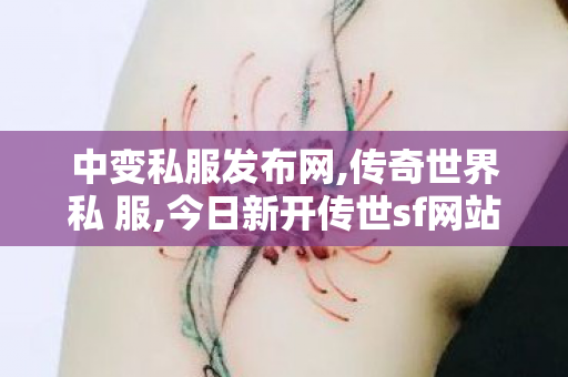 中变私服发布网,传奇世界私 服,今日新开传世sf网站,传奇世界私 服